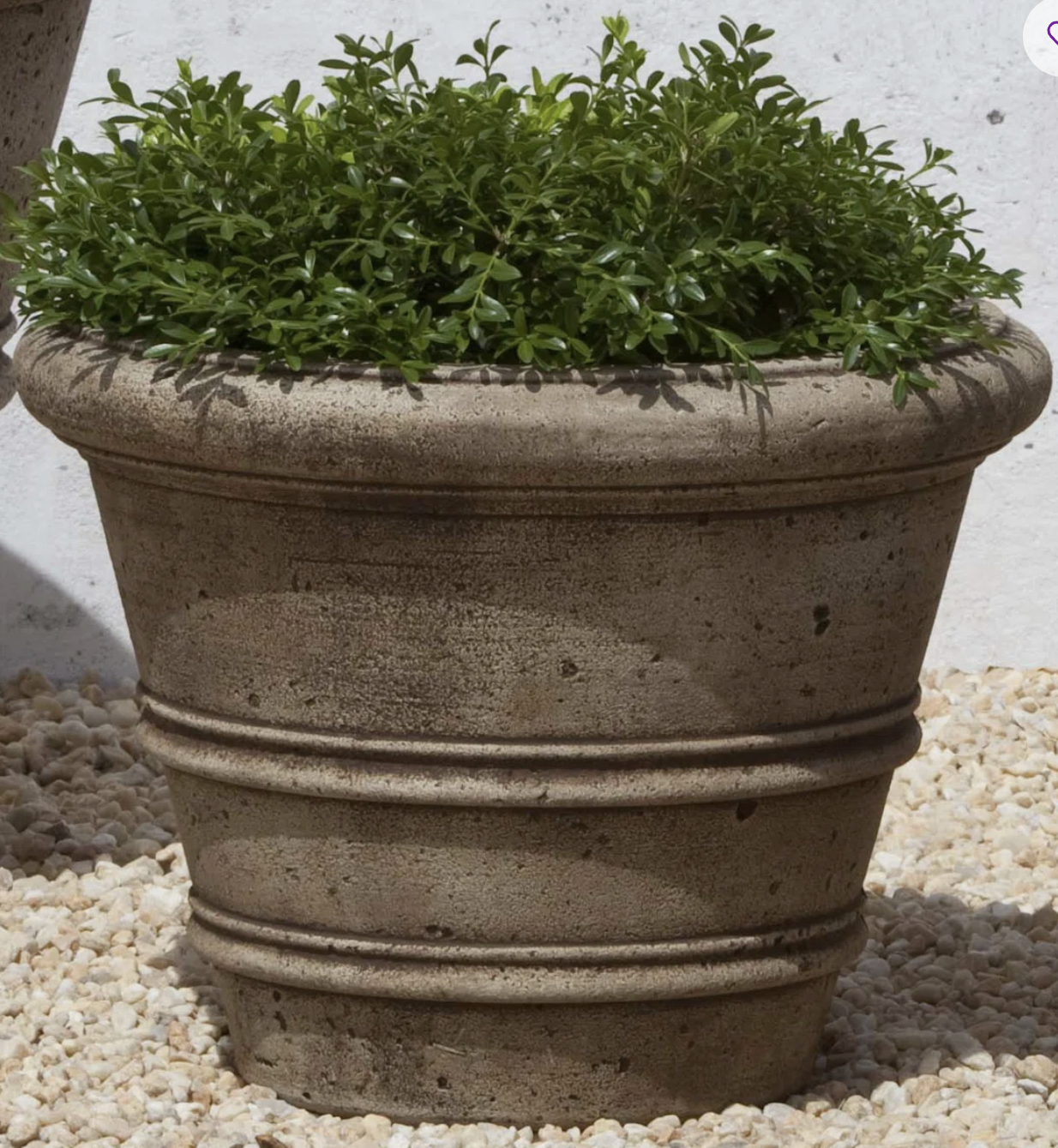 Wayfair Campania Planter