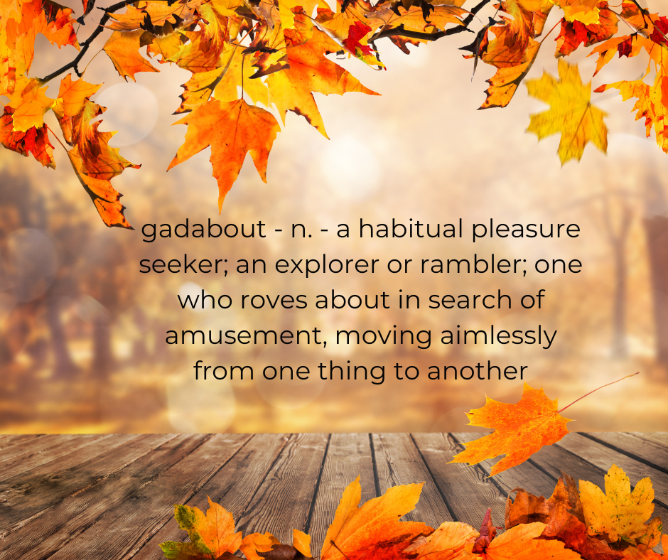 Gadabout | Part 7