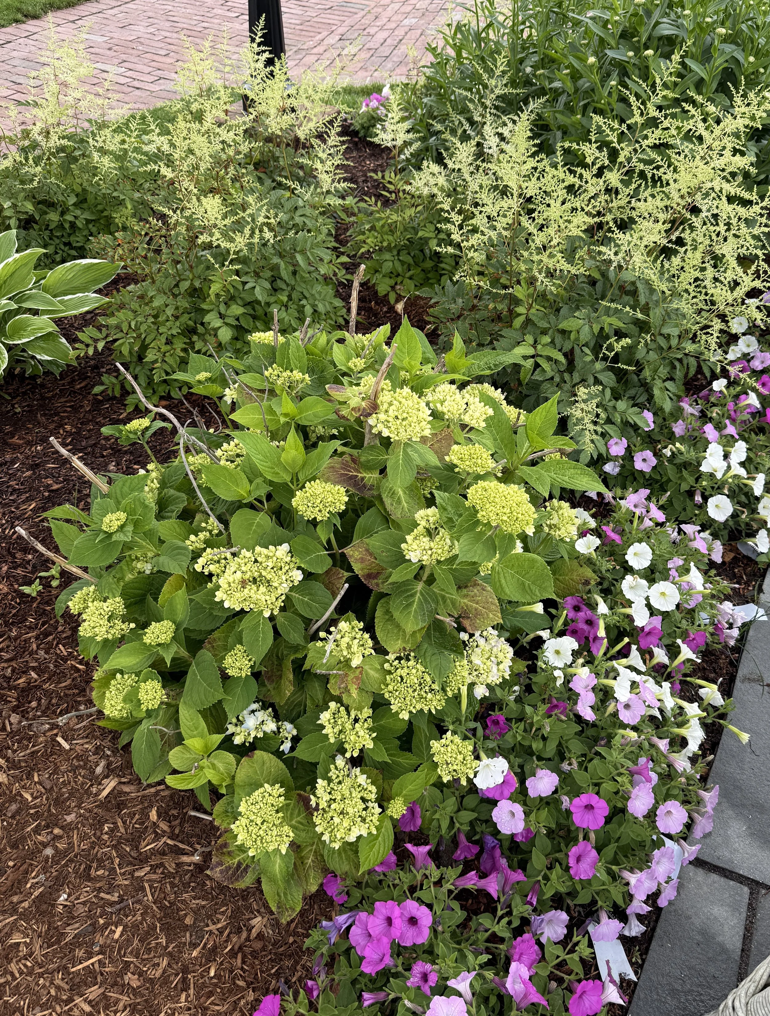Grounds on the Chatham Bars Inn