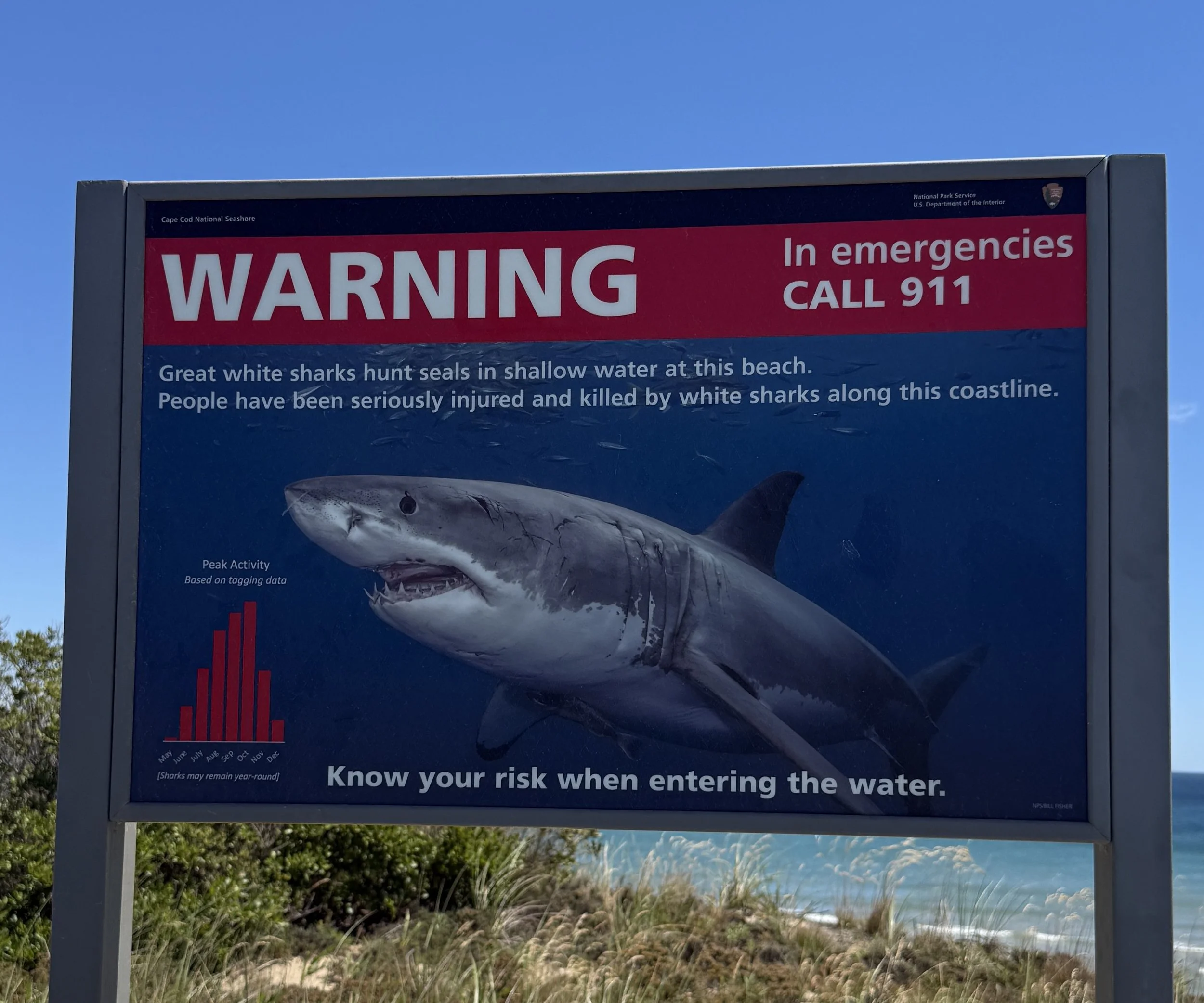 Warning sign for sharks on Cape Cod