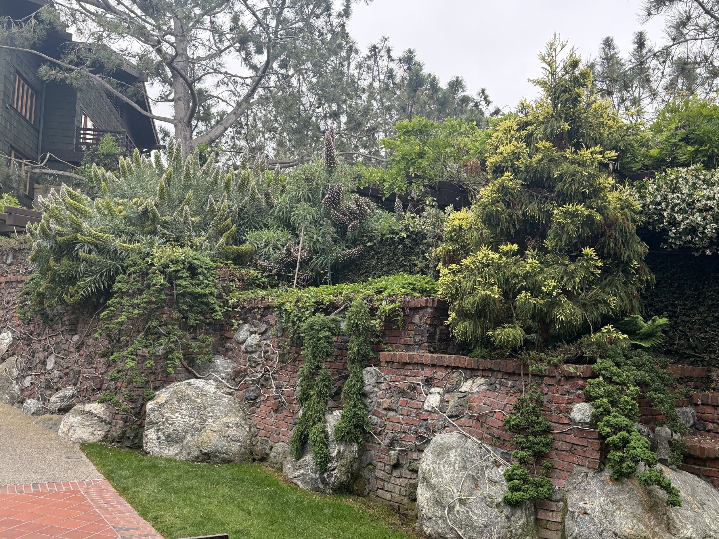Torrey Pines Lodge grounds