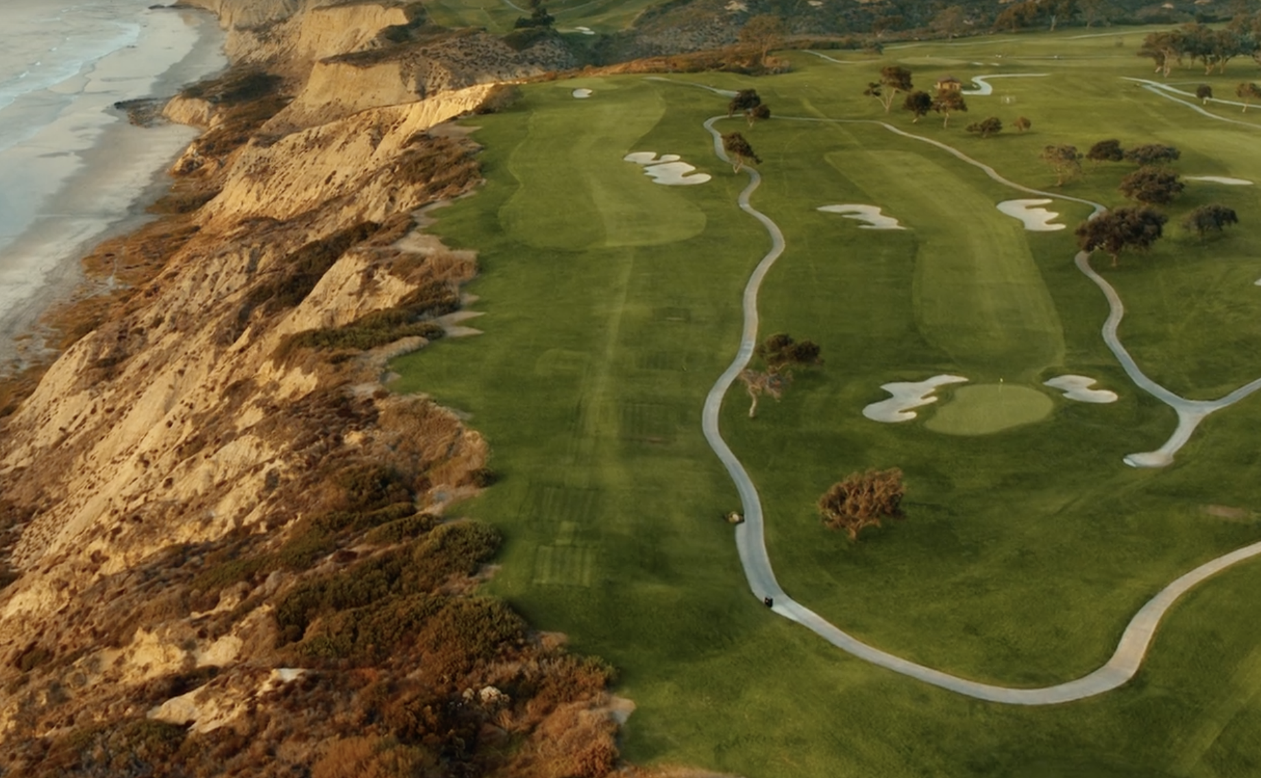 Ariel View of Torrey Pines
