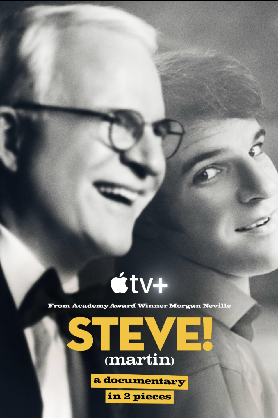 Steve! Martin documentary