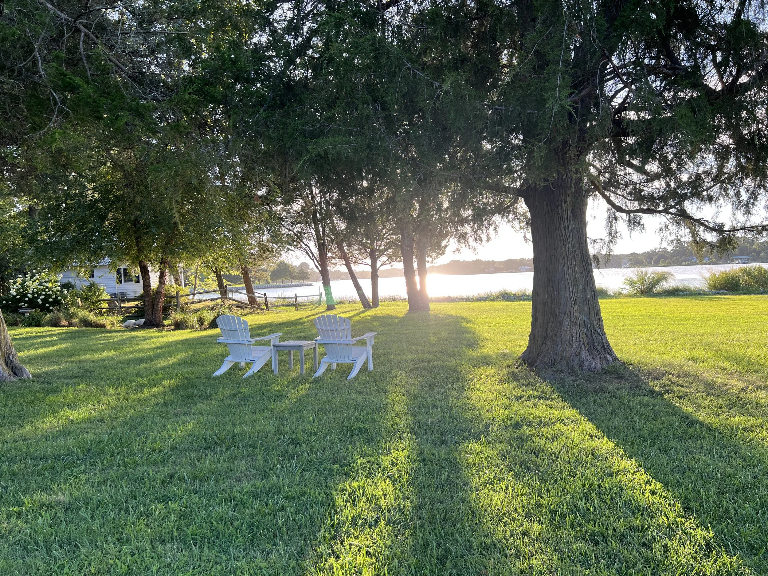Fitchetts Wharf front lawn