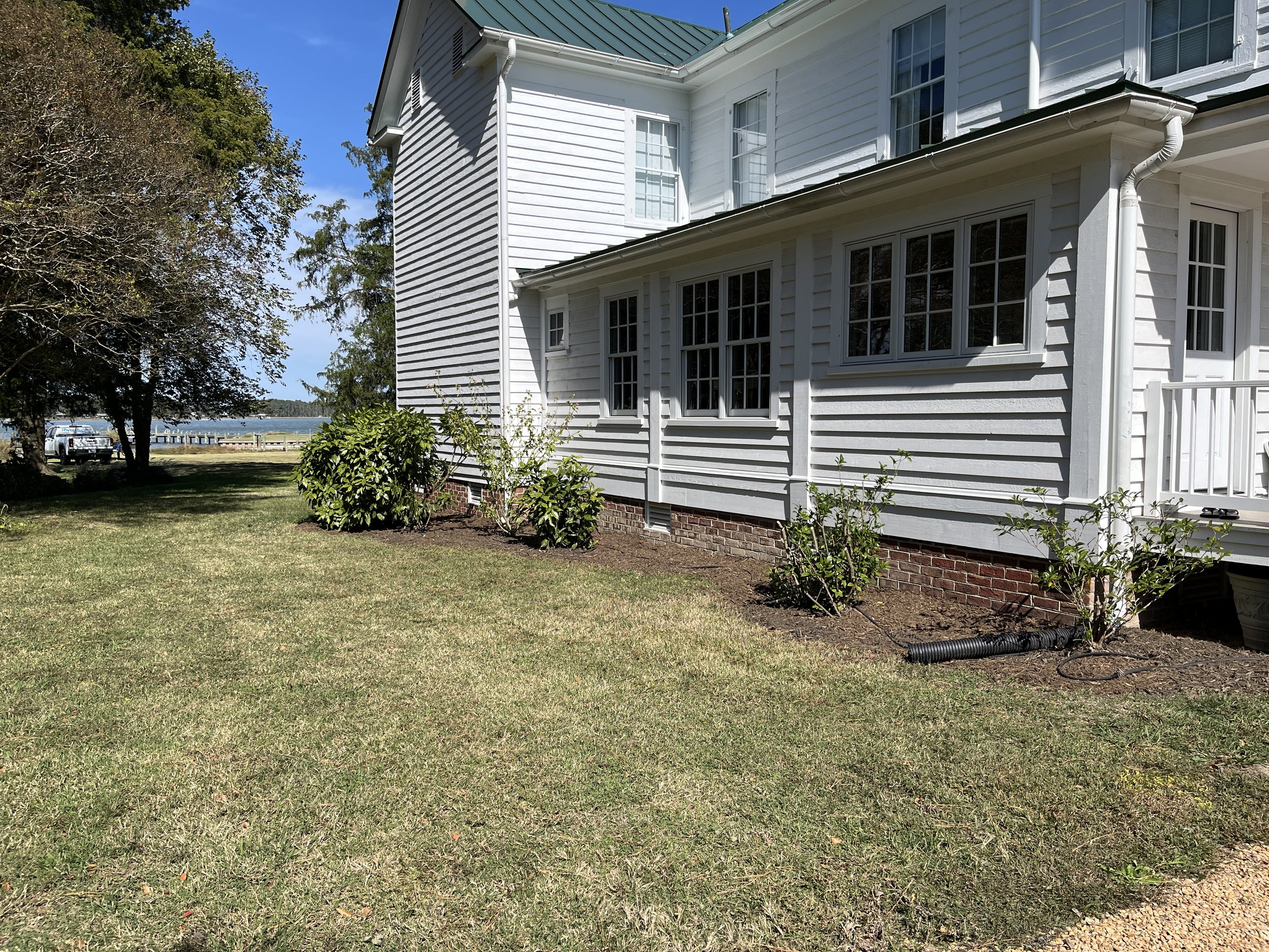 Foundation plants at the river house