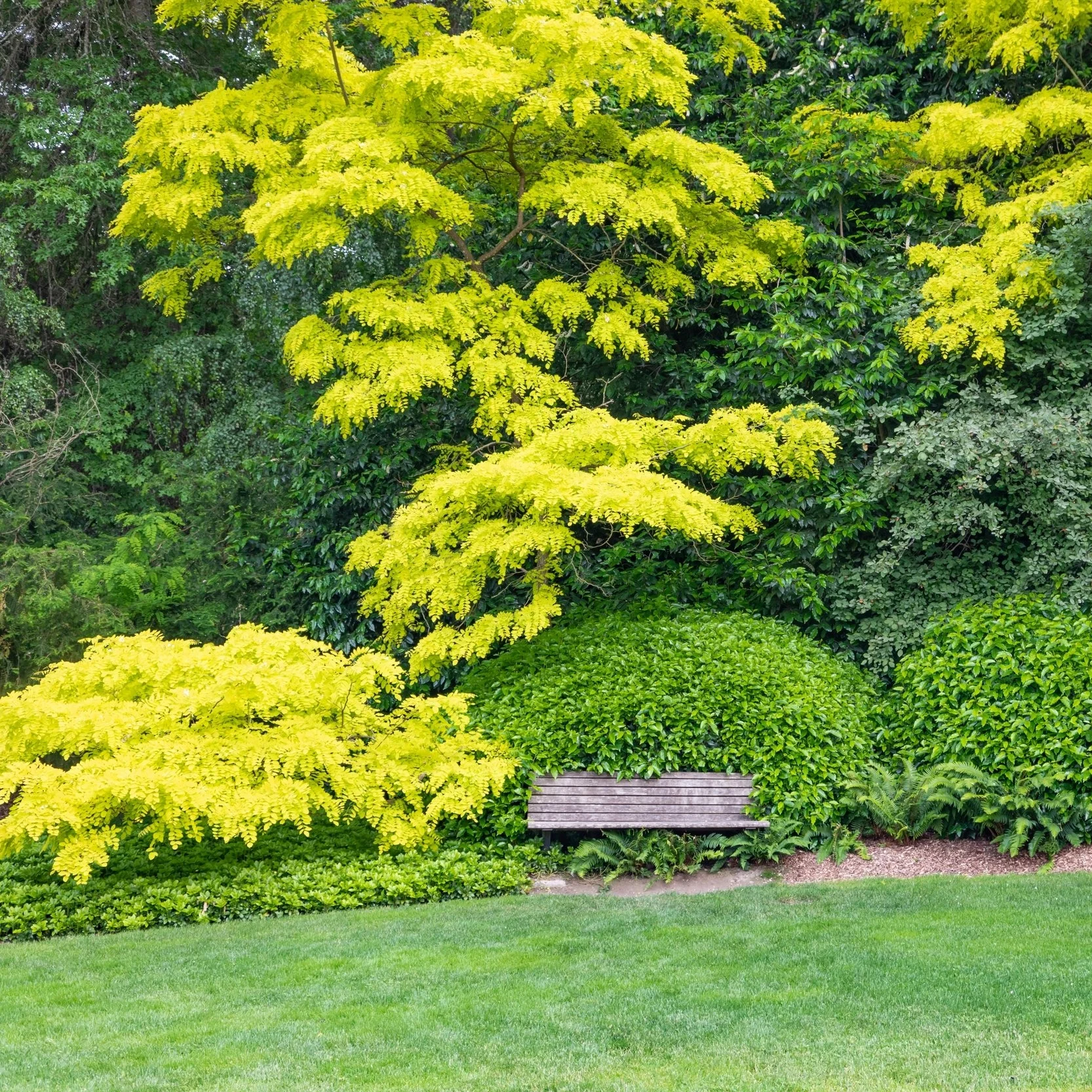 AdobeStock_211413742.jpg