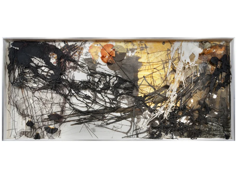 North Wind, 2008