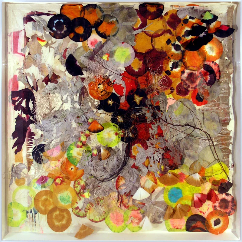 Nature Does Not Knock, 2008