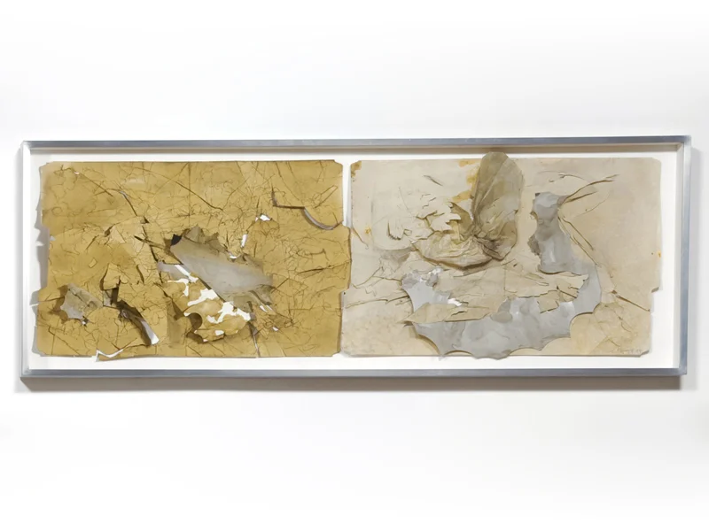 Tea Tincture, 2010