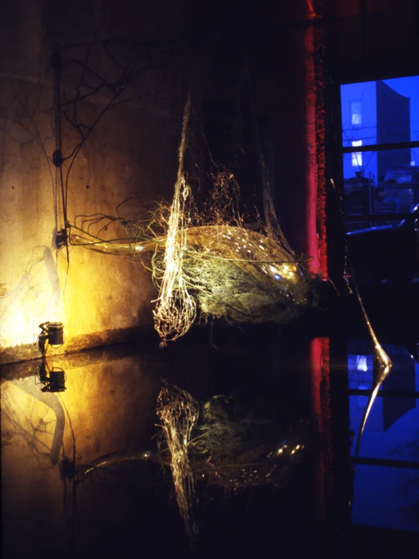 Hydroza, 1994