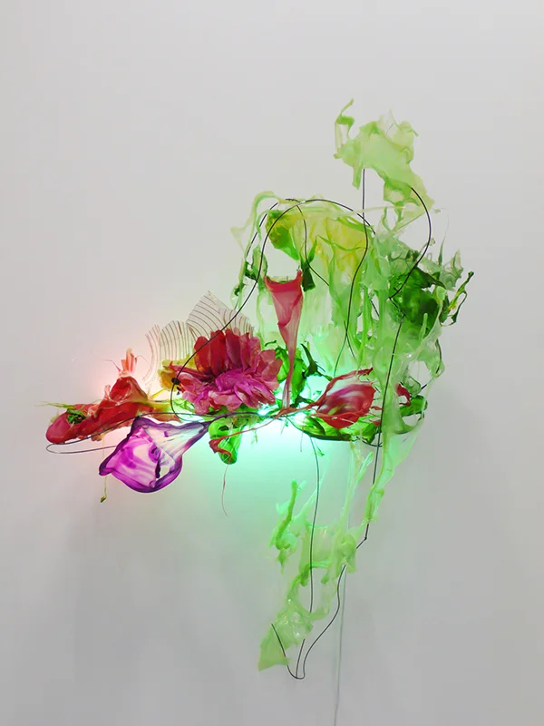 Dragon Arum, Lit, 2011