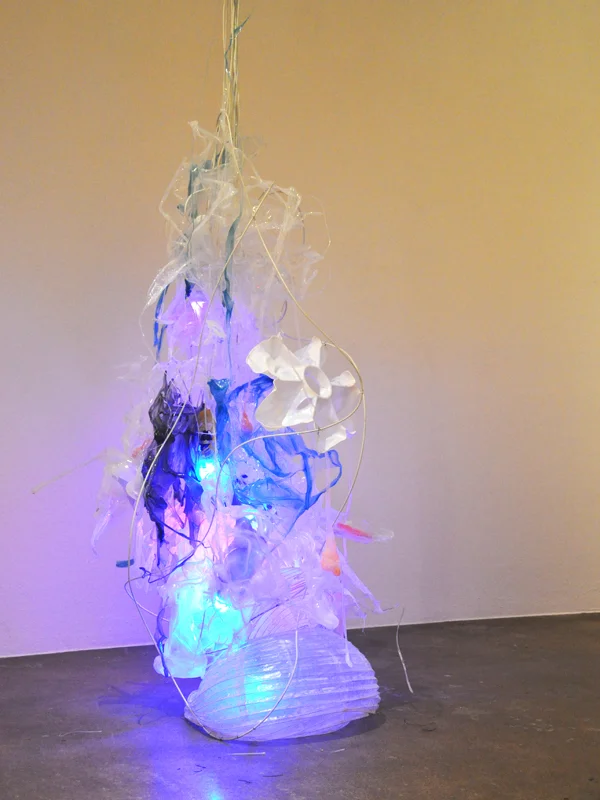 Untitled Lotus, 2012