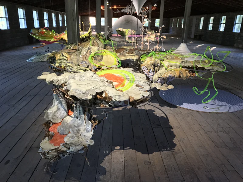 Grasshopper, 2016