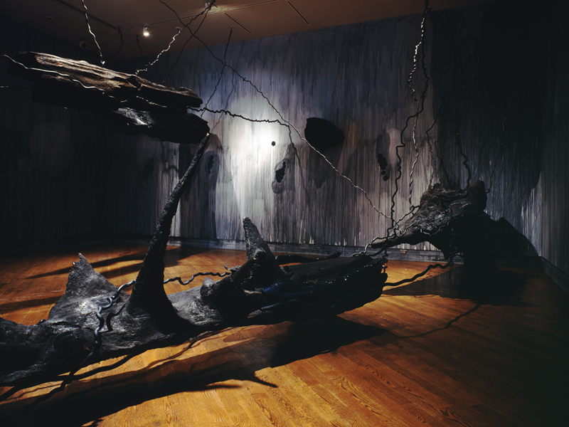 Notes on Light and Shadow, 1999