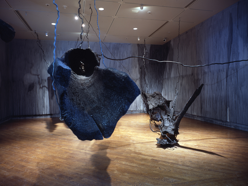 Notes on Light and Shadow, 1999