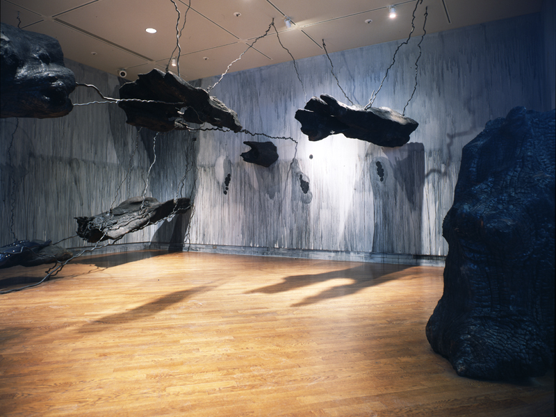 Notes on Light and Shadow, 1999