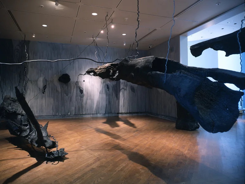 Notes on Light and Shadow, 1999, Presage of Passage, Marian Adelaide Morris Cannon Galleries, Museum of Art at Brigham Young University, Provo UT