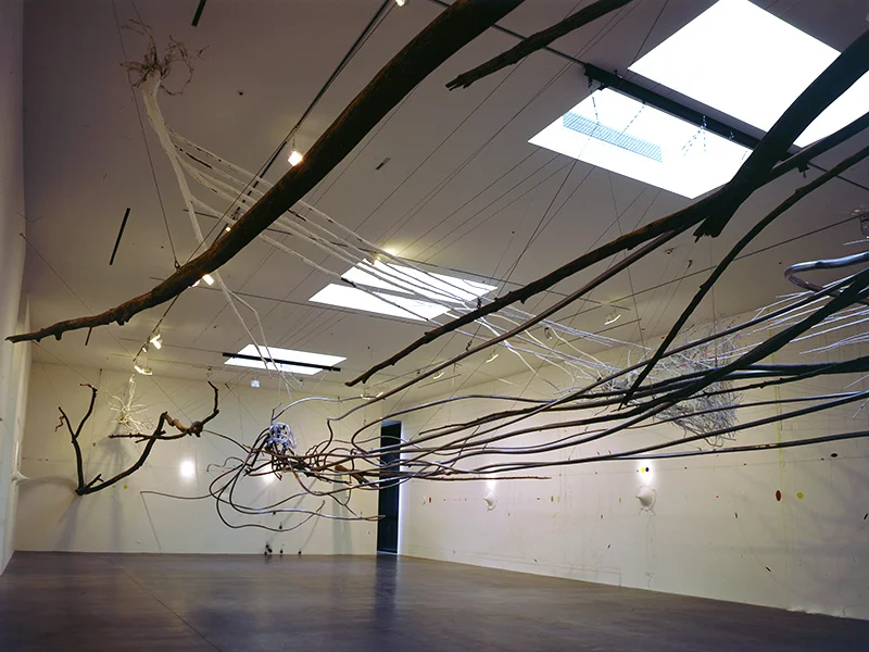 Ear to Ear, 1995, Alyce de Roulet Williamson Gallery, Art Center College of Design, Pasadena, CA.