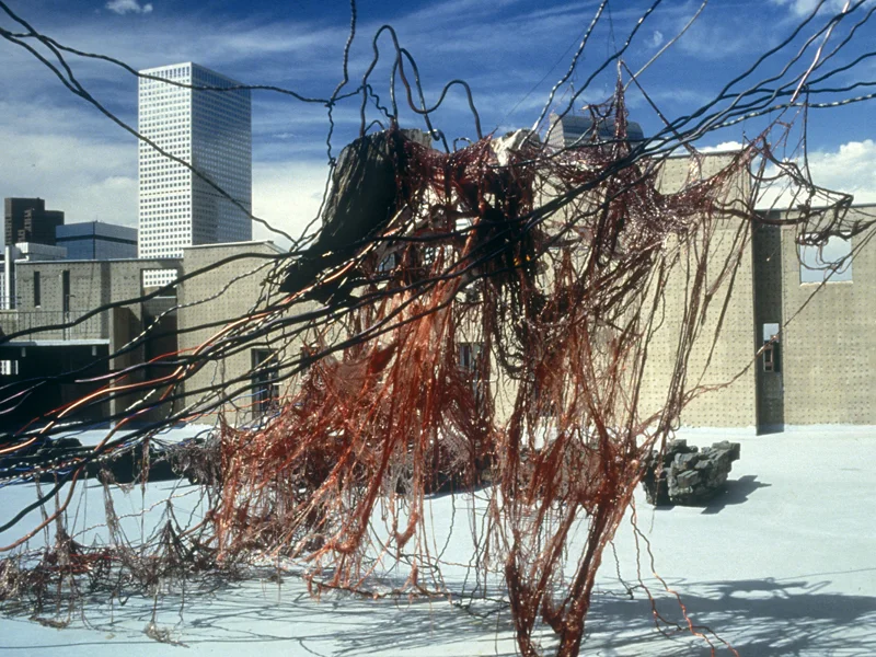Cielo, 1994