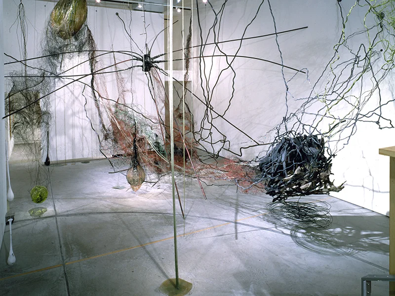 Corpo Onbrosso, 1993