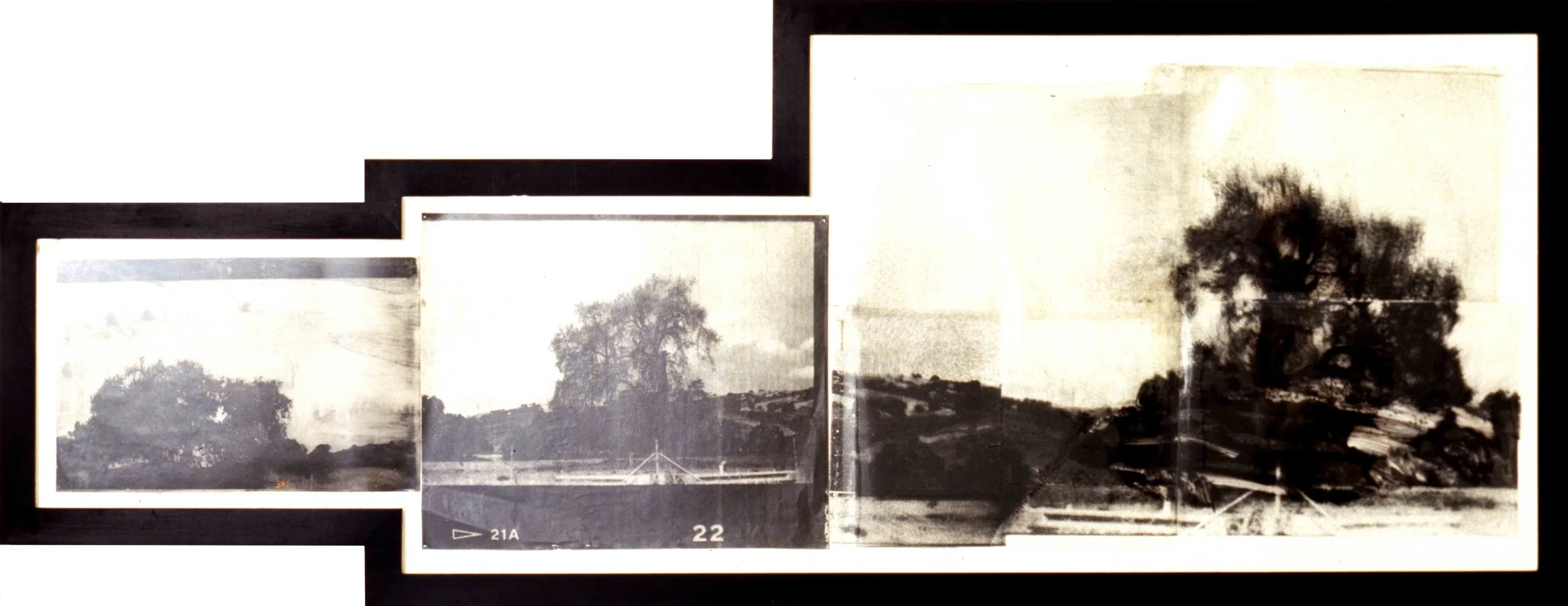 Untitled (Two Trees) 2, 1999