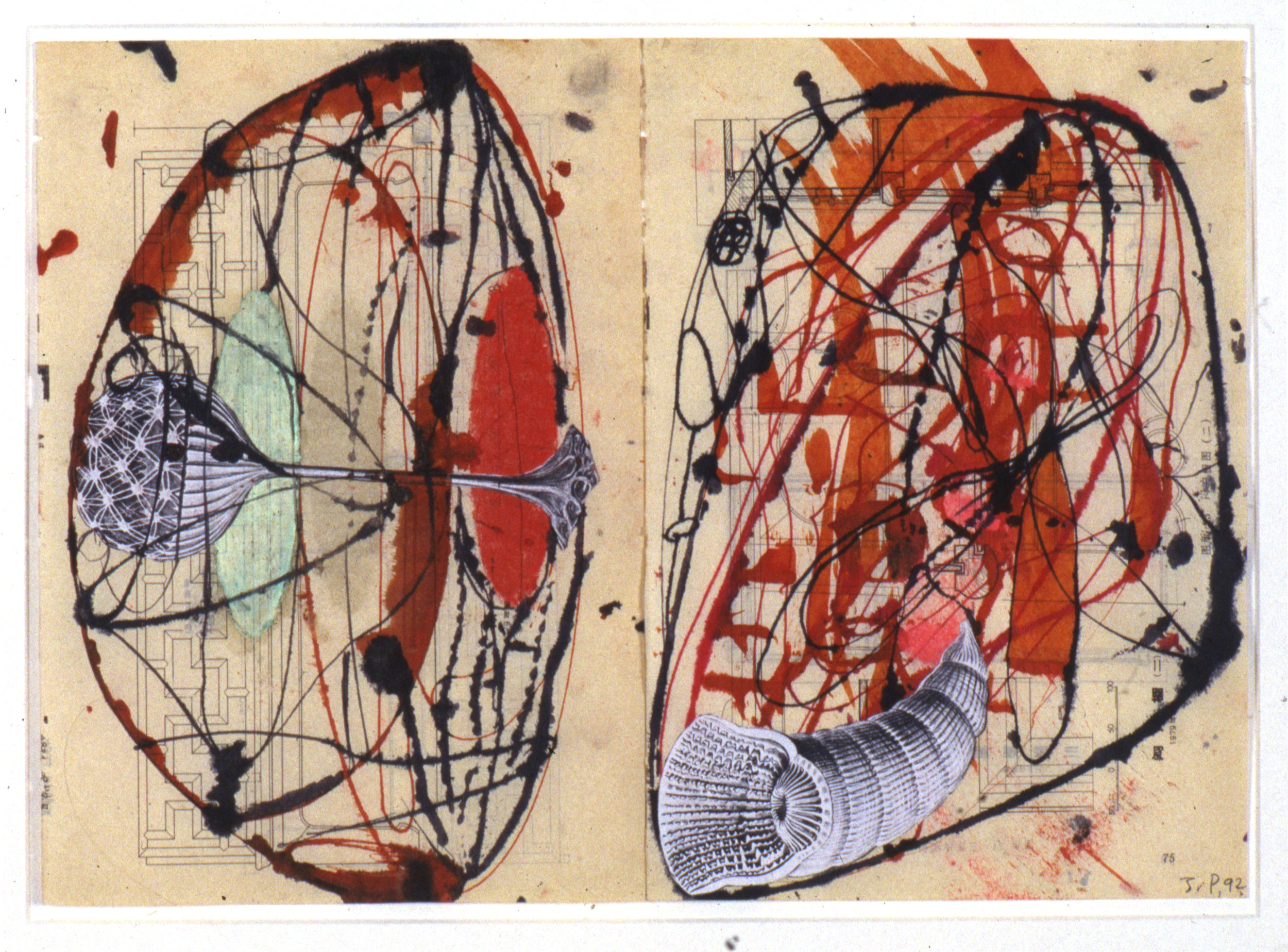 The Bivalves B (2 of 9), 1992