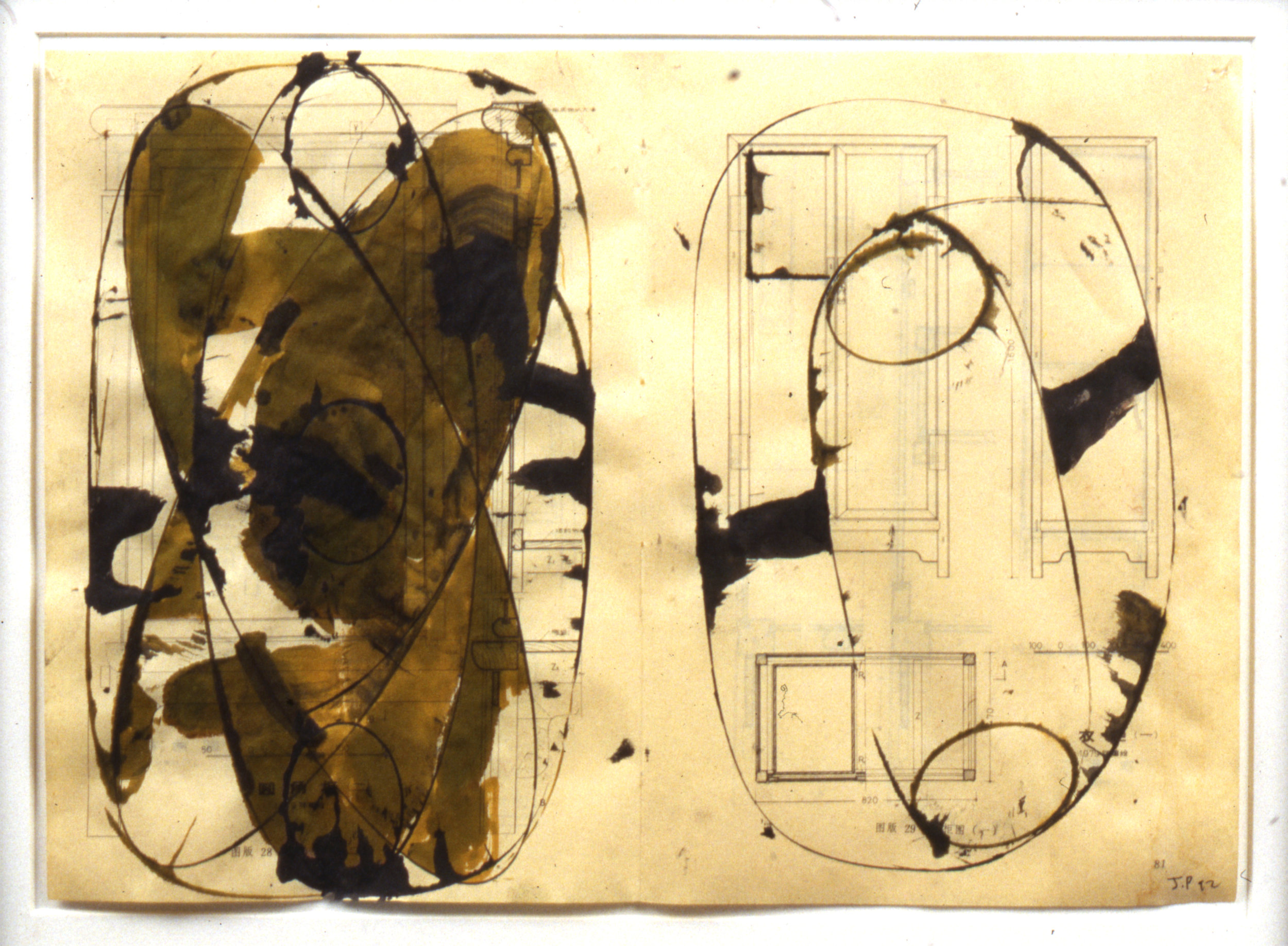 The Bivalves F (6 of 9), 1992