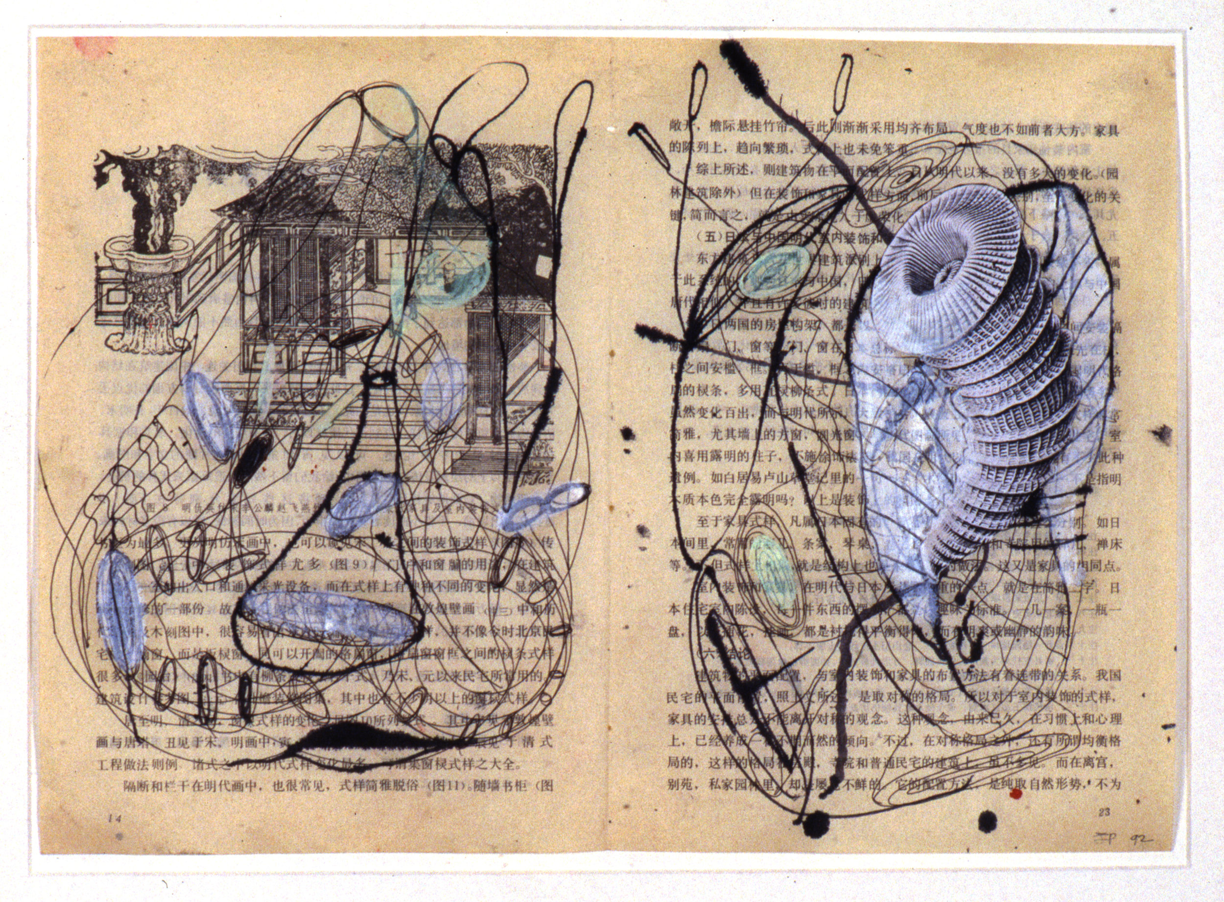 The Bivalves G (7 of 9), 1992