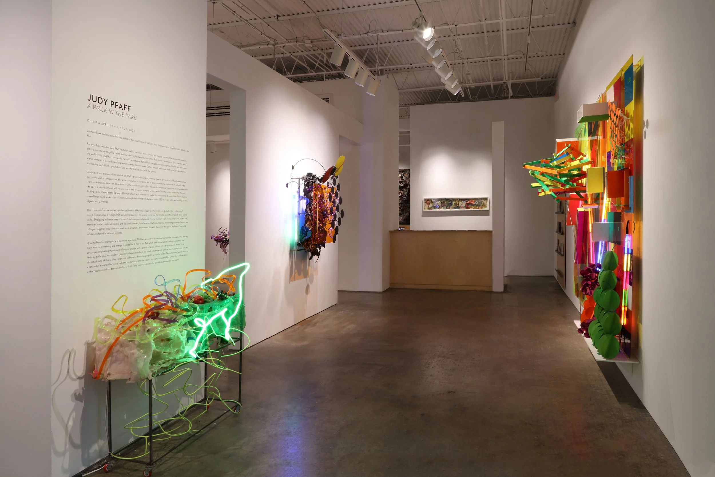 Installation view, A Walk in the Park at Johnson Lowe Gallery