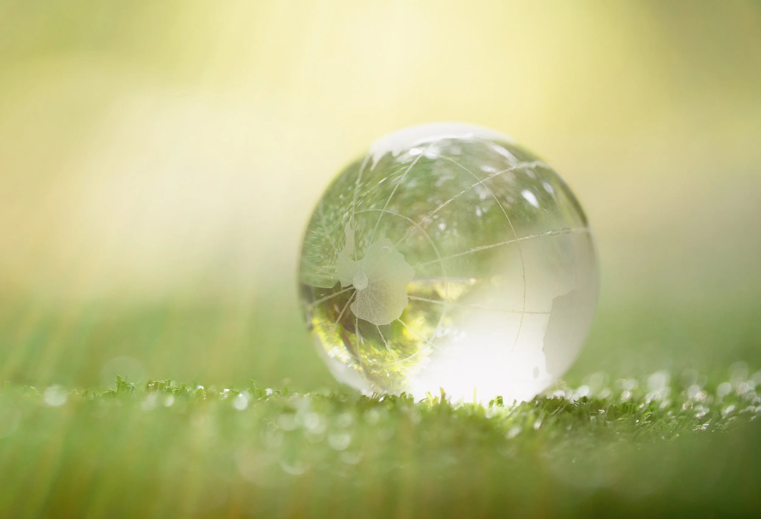 Insurance and Sustainability: Accelerating Meaningful Action