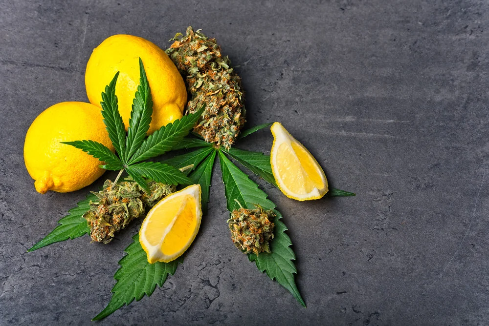 Limonene: The Terpene with a Fruity, Citrus Aroma