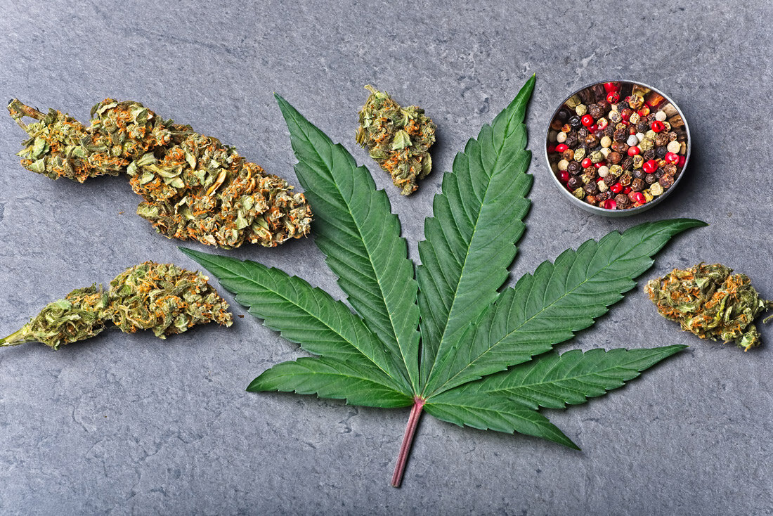 Caryophyllene: The Peppery, Inflammation-Reducing Terpene