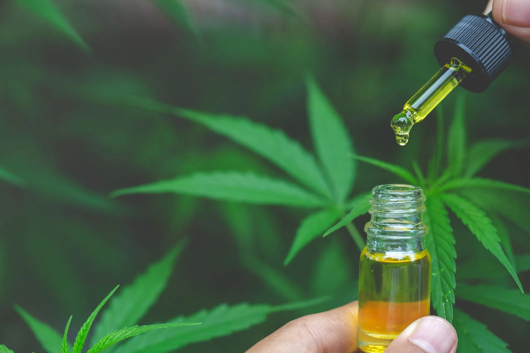 CBG: What is Cannabigerol