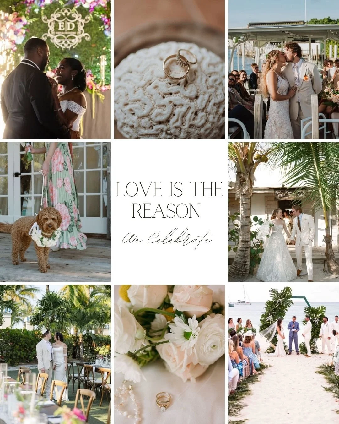 This season of warmth, togetherness, and joy reminds us why love is at the heart of every celebration. Happy Holidays from the Weddings By Cacique Team 🤍
.
.
.
.
.
.
.
.
.
#LoveIsTheReason #WeddingsByCacique #LoveStories  #WeddingDesign #Destination