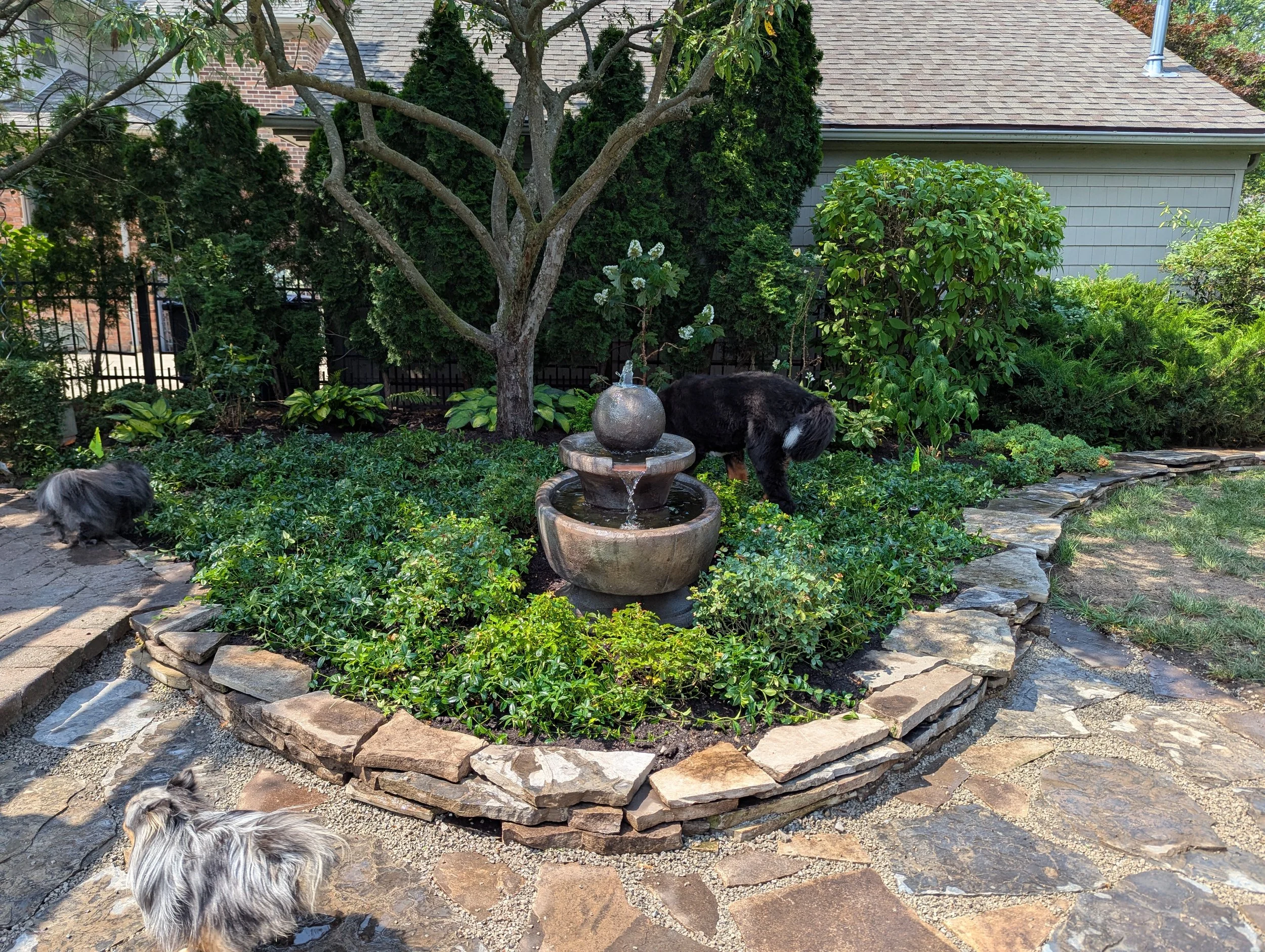 Custom Pools and Fountains