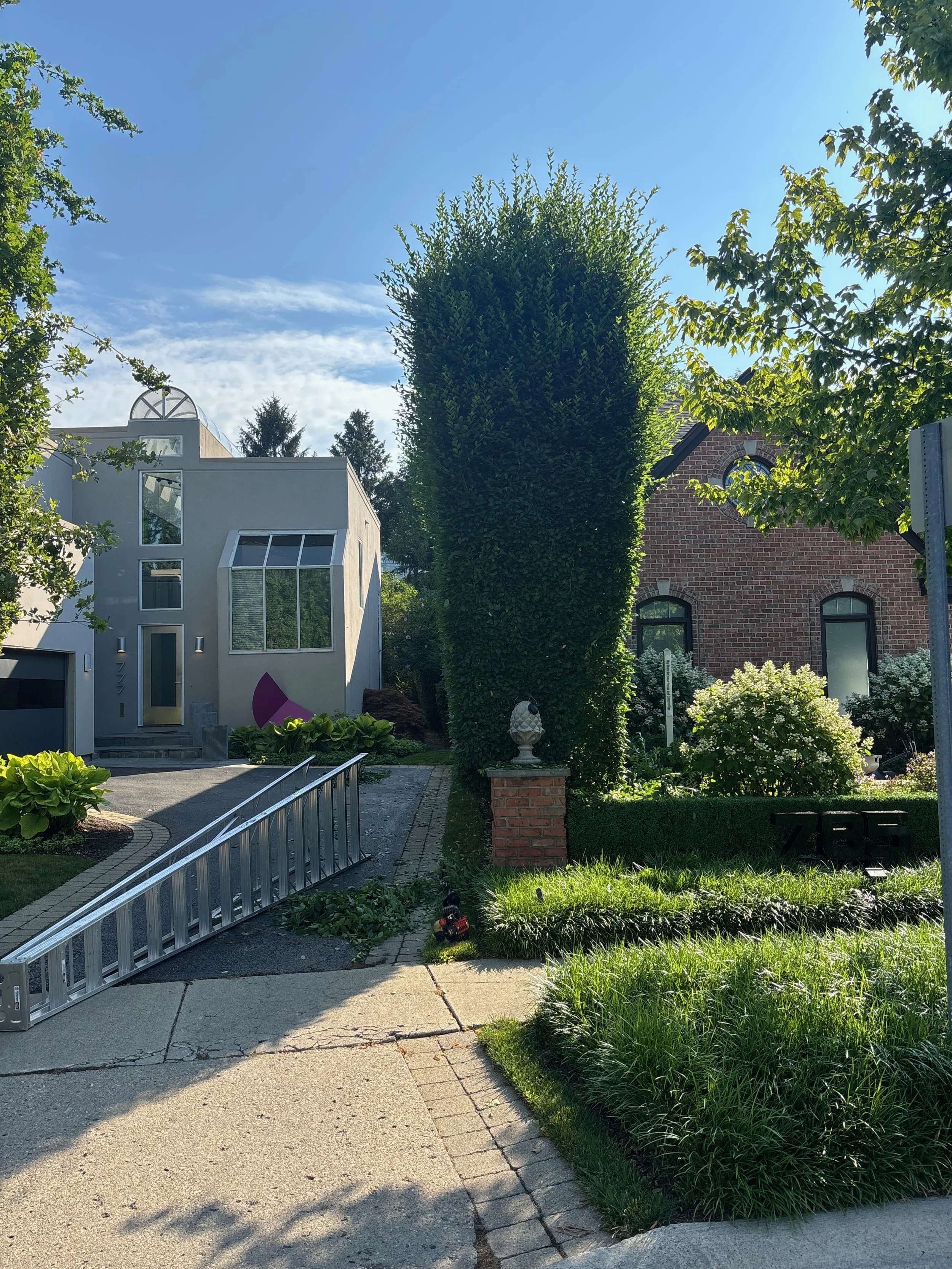 Landscape Maintenance Services