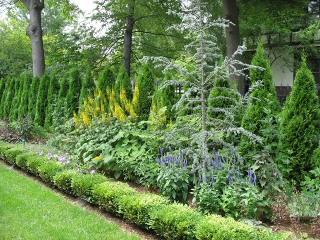 Landscape Construction