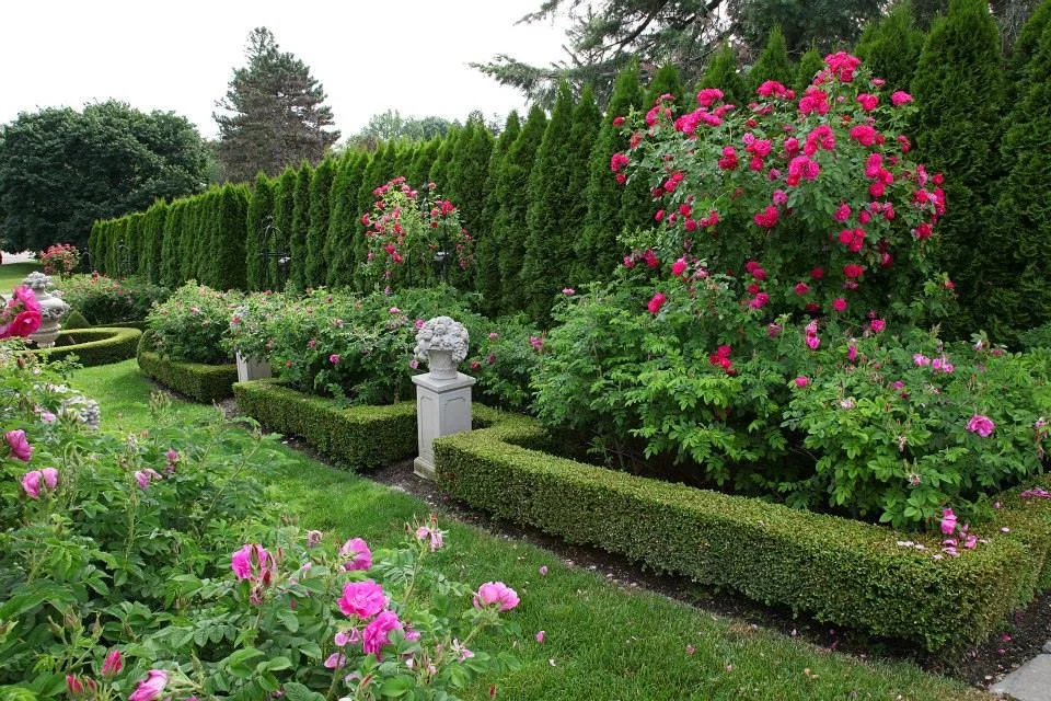 Landscape Construction