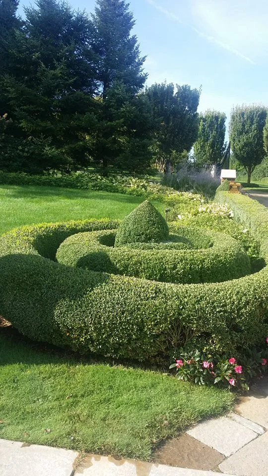 Landscape Construction