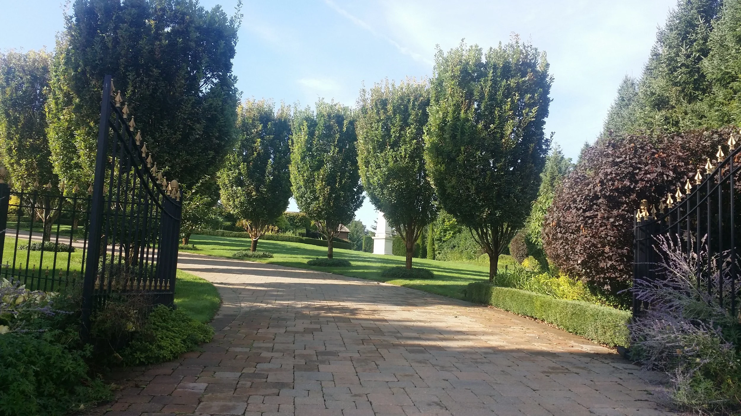 Landscape Construction