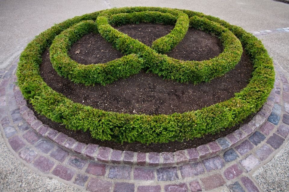 Landscape Construction