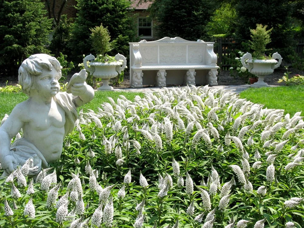 Landscape Construction