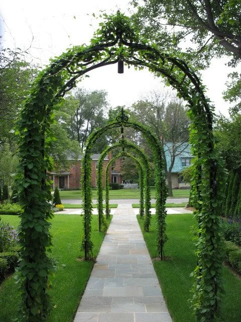 Landscape Construction