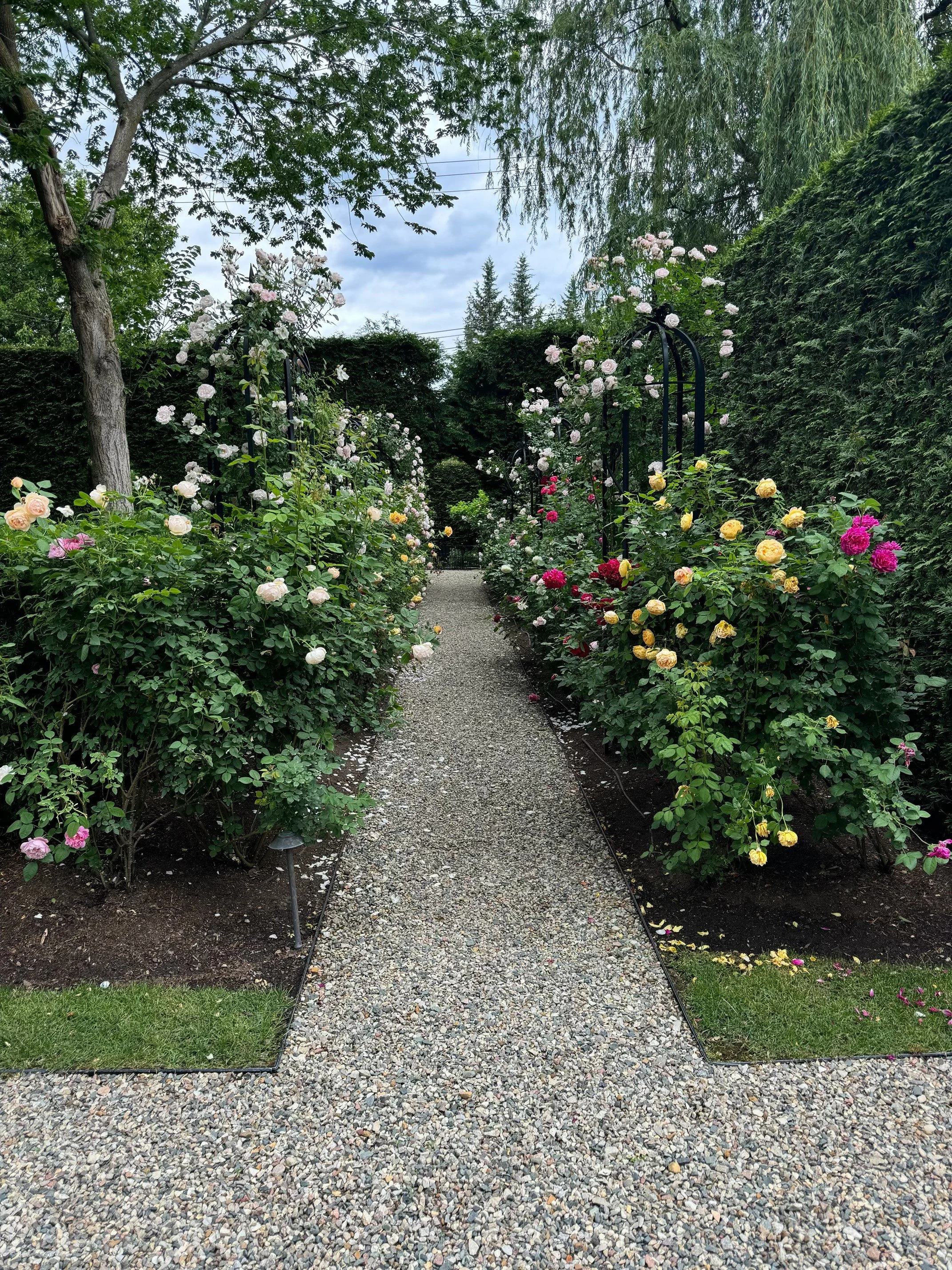 Landscape Construction