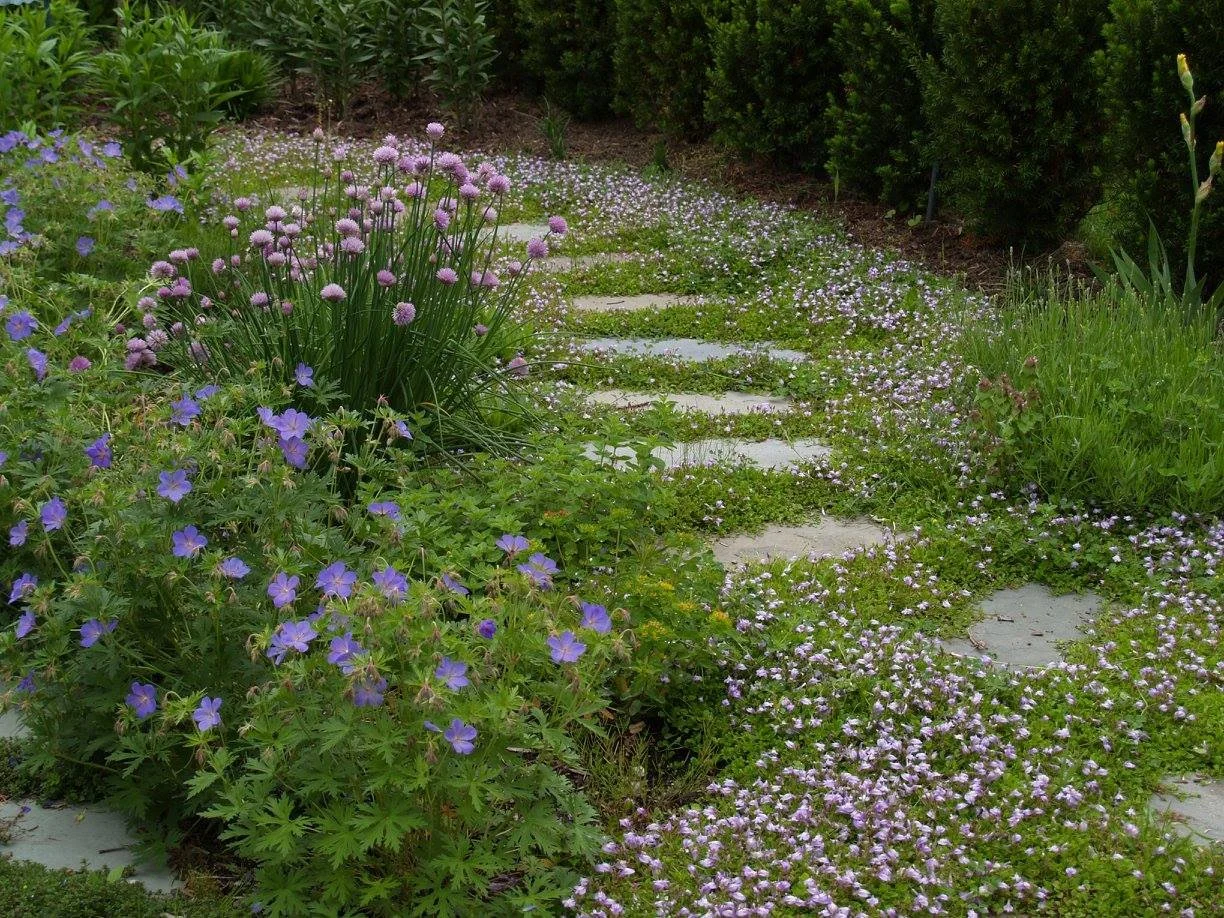 Landscape Construction