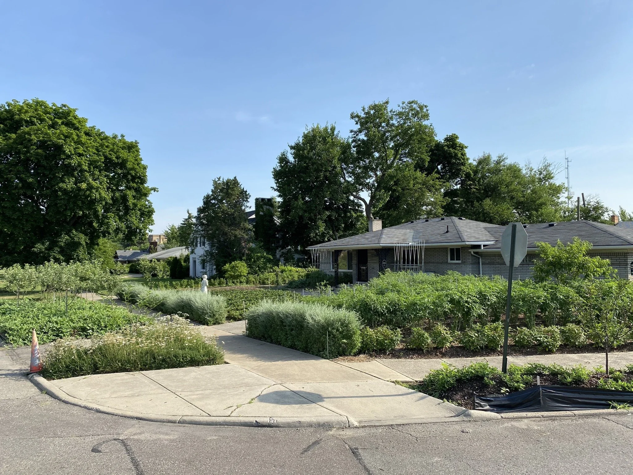 Design Homestead Award Spirit of Detroit Farm