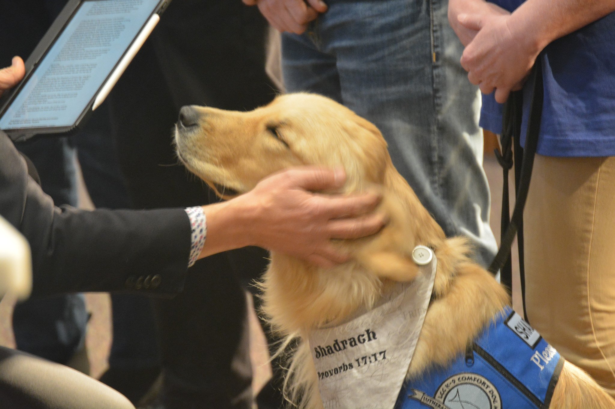 Our prayers to further share Christ's peace and comfort with our community were answered as we installed Shadrach K-9 Comfort Dog on January 19, 2025.