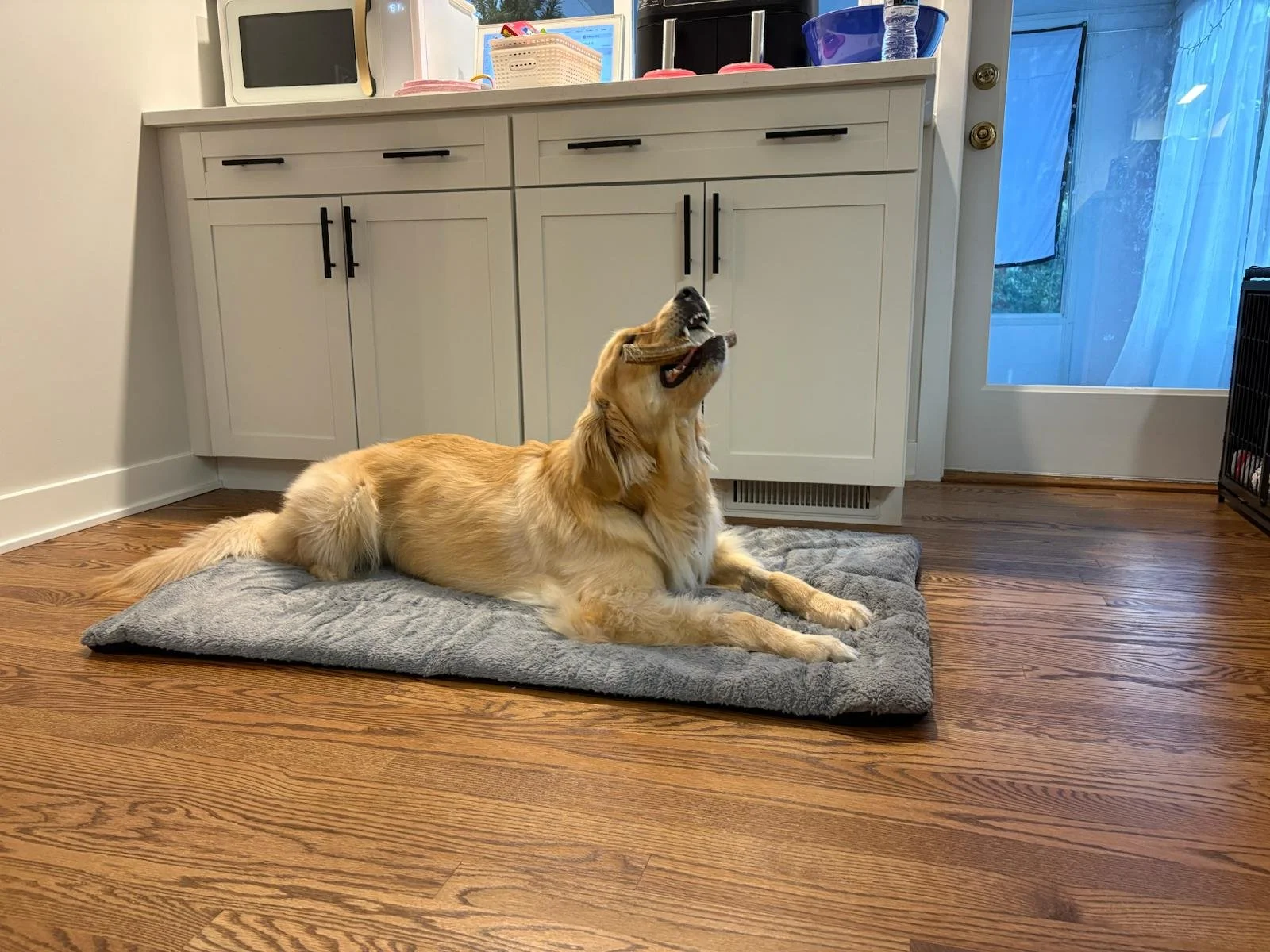 PHOTO-2025-08-22-19-45-56 2.jpg