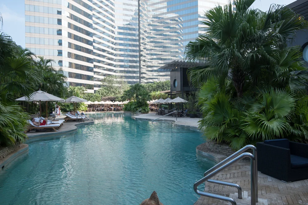 Pool Picture.jpg