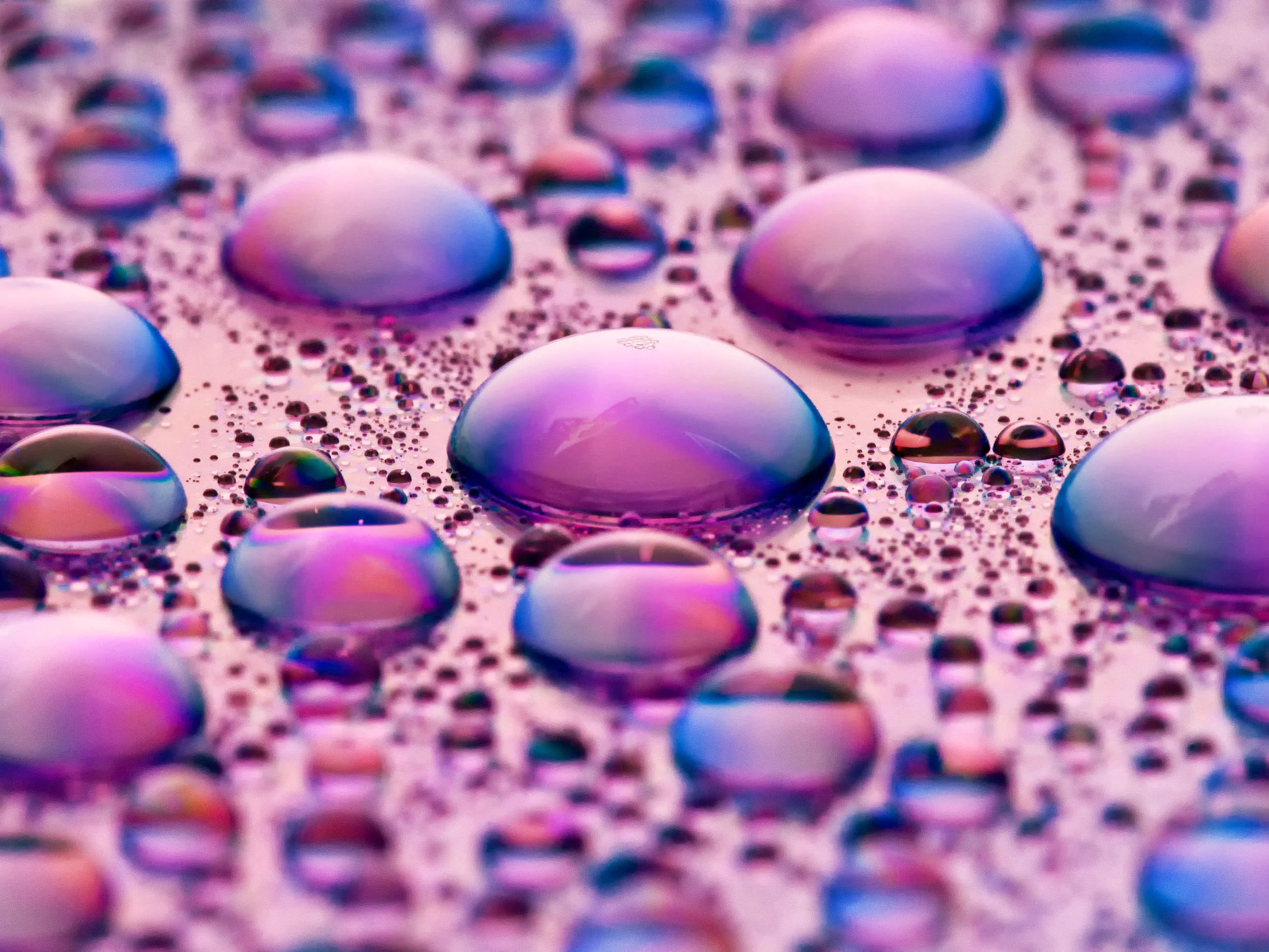 Macro Photography Workshop 2h